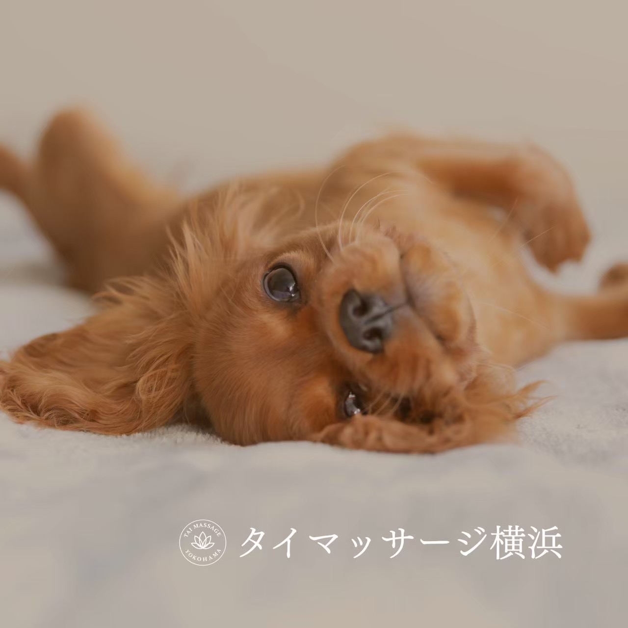 横浜 出張マッサージを選ぶ人が重視している3つのこと💡