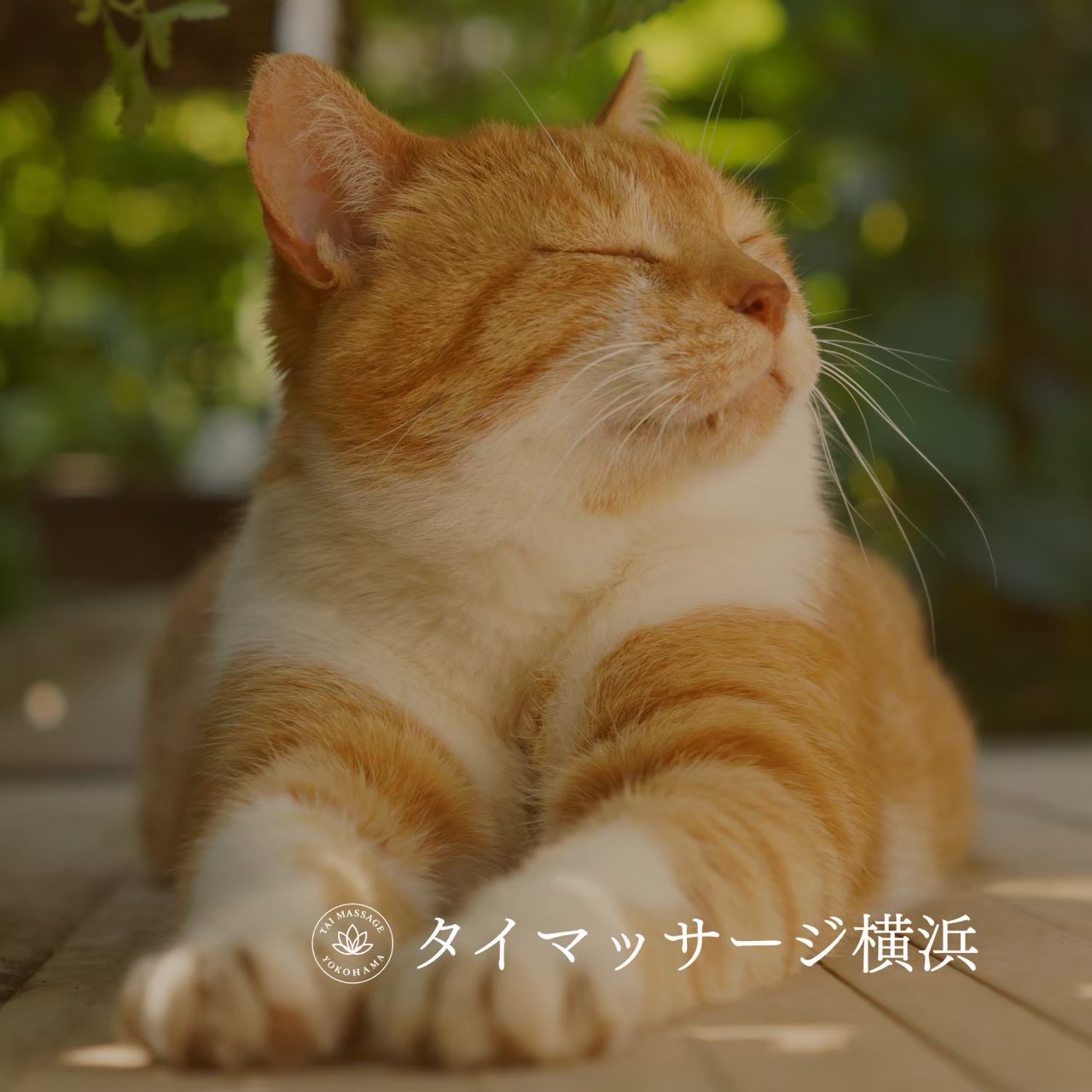 ホテルで過ごす夜を変える、横浜の出張マッサージ🏨