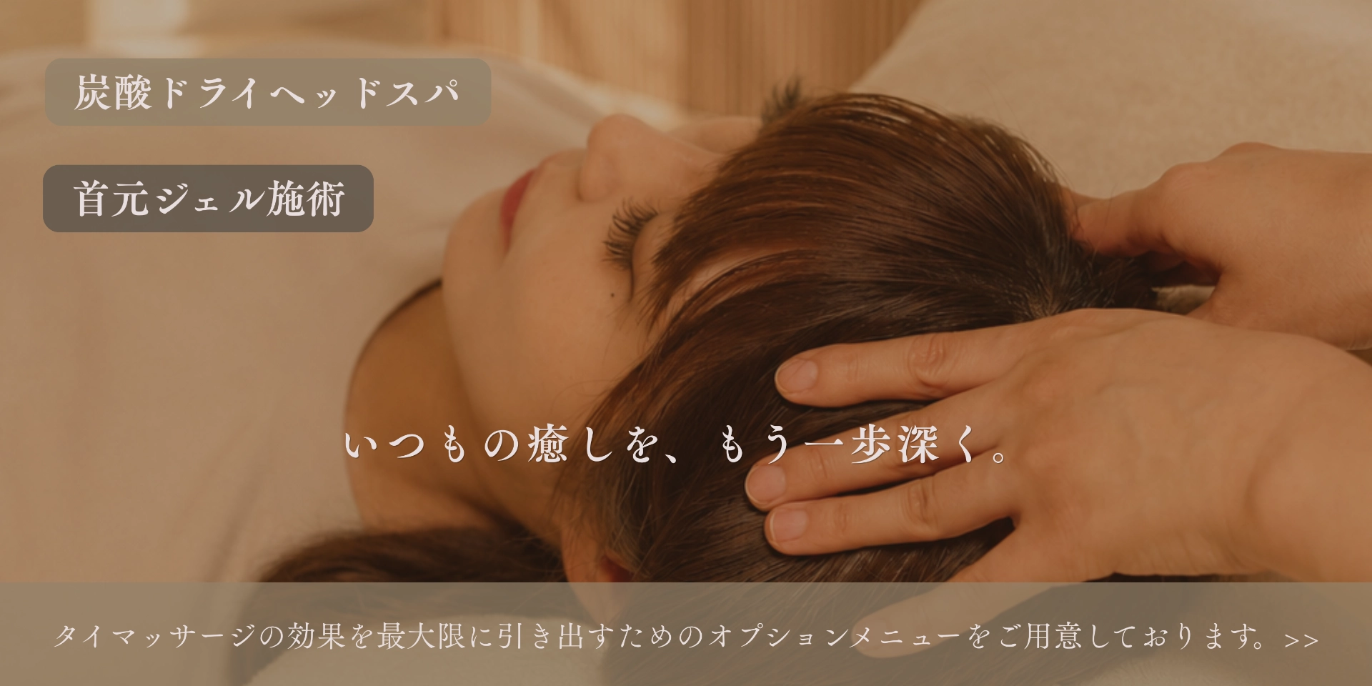 新しいオプションのご案内